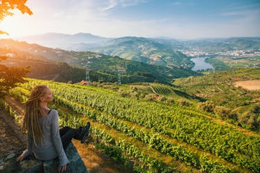 Full-day Douro valley wine and food tour from Porto